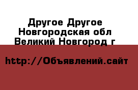 Другое Другое. Новгородская обл.,Великий Новгород г.